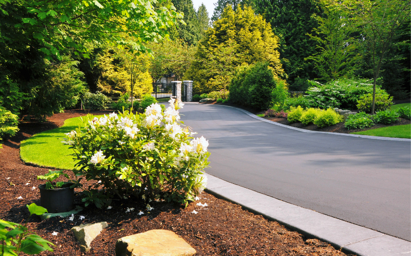 Backyard Landscaping in California